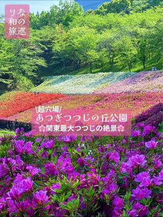 ～神奈川縣～私房景點！關東最大！景色絕美的杜鵑花田