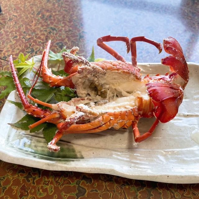 【佐伯】東九州伊勢えび海道で伊勢海老満喫🦞❤️