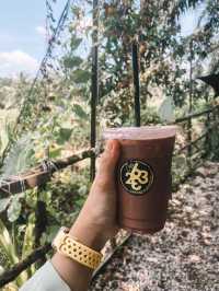 Cafe Hunting | Good food, good vibes ☕️
