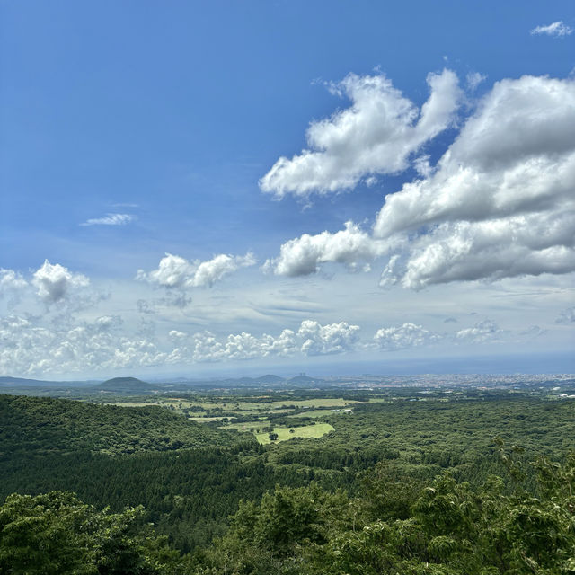 제주여행🏝️ 삼나무 숲길이 멋진 절물 휴양림🌲🌲🌲