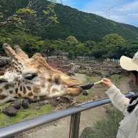 【静岡】小動物以外も触れ合える動物園！