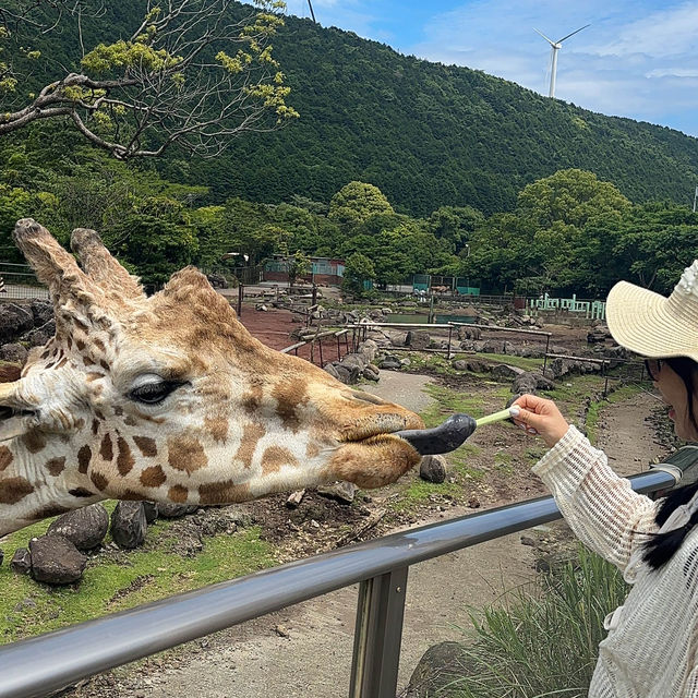 【静岡】小動物以外も触れ合える動物園！