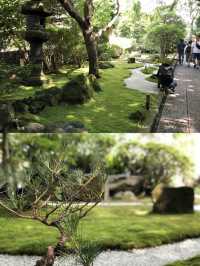 涼を感じるスポット✨美しい竹林の報国寺🥺🤍【鎌倉】