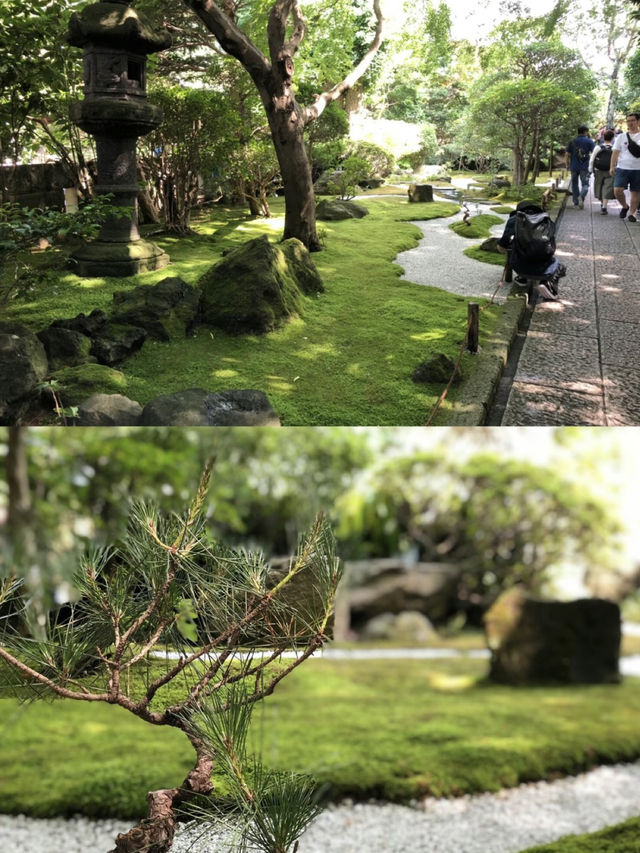 涼を感じるスポット✨美しい竹林の報国寺🥺🤍【鎌倉】