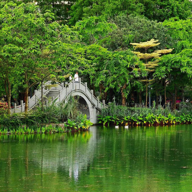 【深圳景點】坪山濕地公園：綠意盎然～適合放鬆身心的好地方！