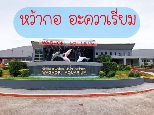 ชมสัตว์น้ำ หว้ากออะควาเรี่ยม
