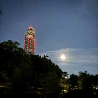 夜遊東山動物園，專屬夜晚的野性與浪漫