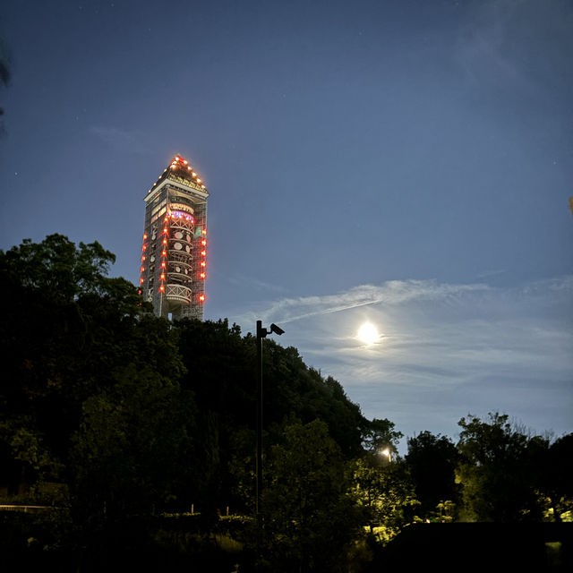 夜遊東山動物園，專屬夜晚的野性與浪漫