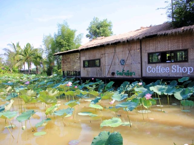 มาเที่ยวโรงคั่วกาแฟ วังน้ำเขียว