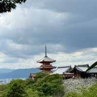 「8月好去處2024」- 大阪美食之旅，居酒屋 首選！