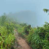 ภูสอยดาว - พิชิตลานสน ชมดอกหงอนนาค