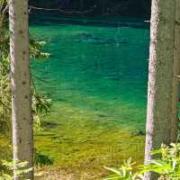 Jacks Lake：湖光山色淨土，享受大自然之美