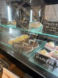【福岡カフェ】窓から四季折々の景色を楽しみながらバスチーを食べよう✨️