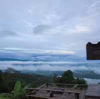 :สวนอาต้องแคมป์ AtongCamp