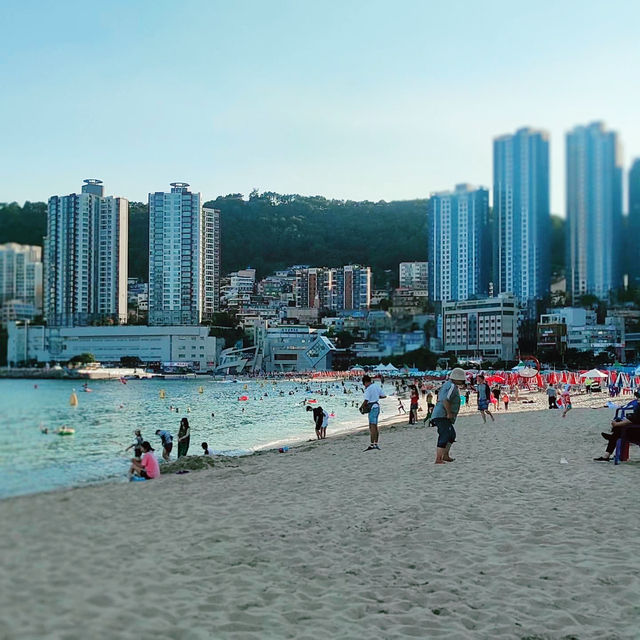Sun, Sand, and Serenity: Haeundae Beach