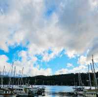 Road to Bruny Island: A Scenic Drive, Stunning Views, and Fresh Oysters Await