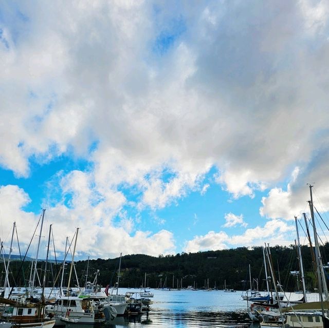 Road to Bruny Island: A Scenic Drive, Stunning Views, and Fresh Oysters Await