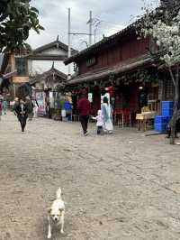 🇸🇬Charming ancient town of Shuhe in Lijiang 