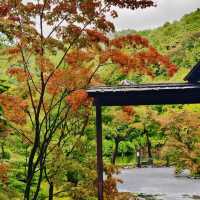 【大阪景點】西之丸庭園：雨中迷人景色～享受日本庭院風情