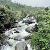 Sapa Serenity: A Journey Through Giang Cha, Ta Phin, and Phin Ho