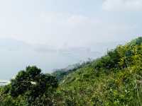 青衣自然徑：翠綠樹木、觀景台、壯麗海岸