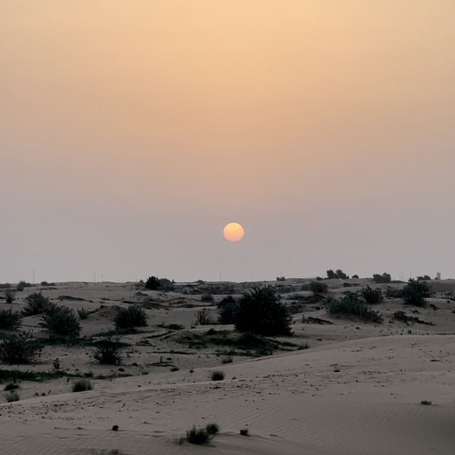 杜拜沙漠營地🏜️⛺️🐫 感受探險氣氛的舒適之旅🥤