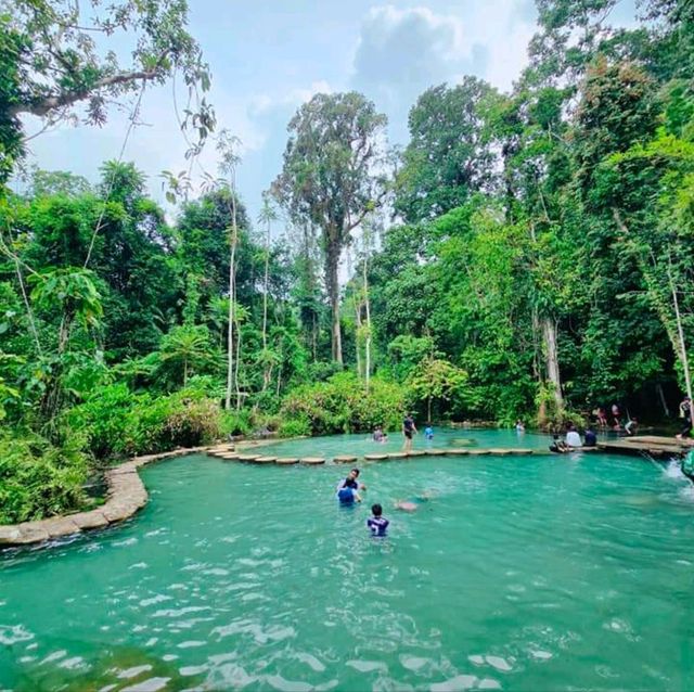 ป่าต้นน้ำบ้านน้ำลาด