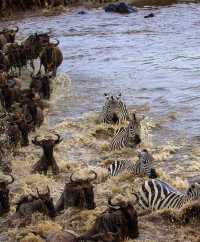 5 Day Tanzania Wildlife Safari Explore Serengeti, Ngorongoro Crater Lake Manyara and Tarangire