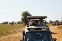 5 Day Tanzania Wildlife Safari Explore Serengeti, Ngorongoro Crater Lake Manyara and Tarangire