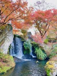 【大分観光】紅葉が人気だけど🍁四季折々の景色が見られる日本庭園🍁