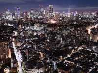 東京必去！超美免費入場的惠比壽花園廣場大樓38樓觀景台