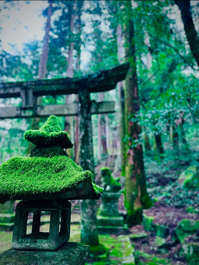 【岐阜】⚠️超穴場⚠️神々しい空気感はぜひ体感して欲しい😨何らかのパワーを授かれそうな期待感は計り知れず✨