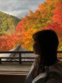 【机に反射する写し紅葉🍁は必見】四季折々に色づく瑠璃光院の特別拝観が今年も始まります✨
