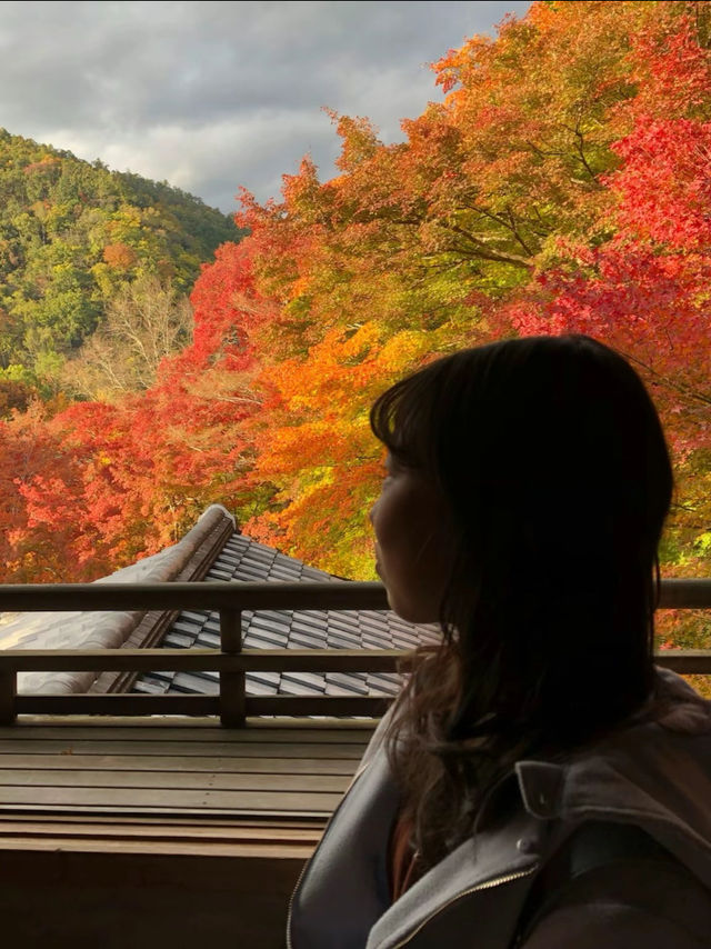 【机に反射する写し紅葉🍁は必見】四季折々に色づく瑠璃光院の特別拝観が今年も始まります✨