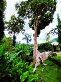 Enjoying Penang Botanic Gardens 