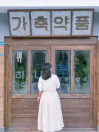 자연과 역사가 살아 숨쉬는 즐거운 여행지 영월💚 