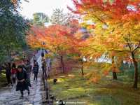 วัดโคไดจิ (Kodaiji)