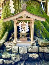 【山梨県】大松明による火祭りが行われる神社