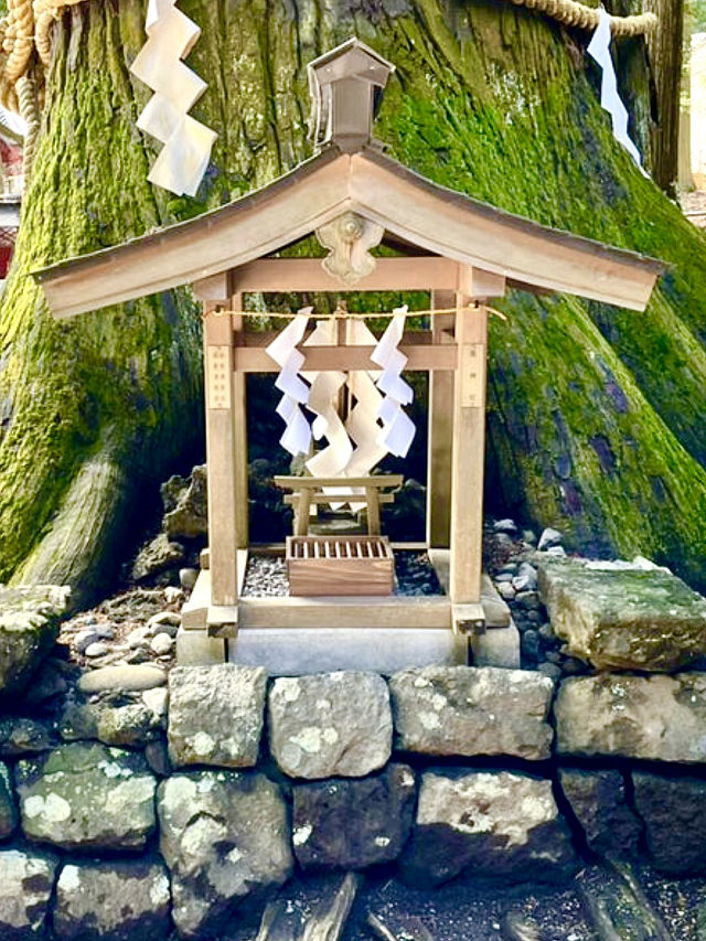 【山梨県】大松明による火祭りが行われる神社 【山梨県】大松明による火祭りが行われる神社