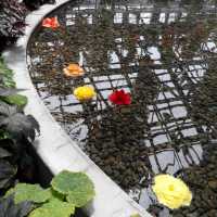 名花之里日式花園