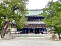 【神奈川県】仏殿の天井画を仰ぎ見る