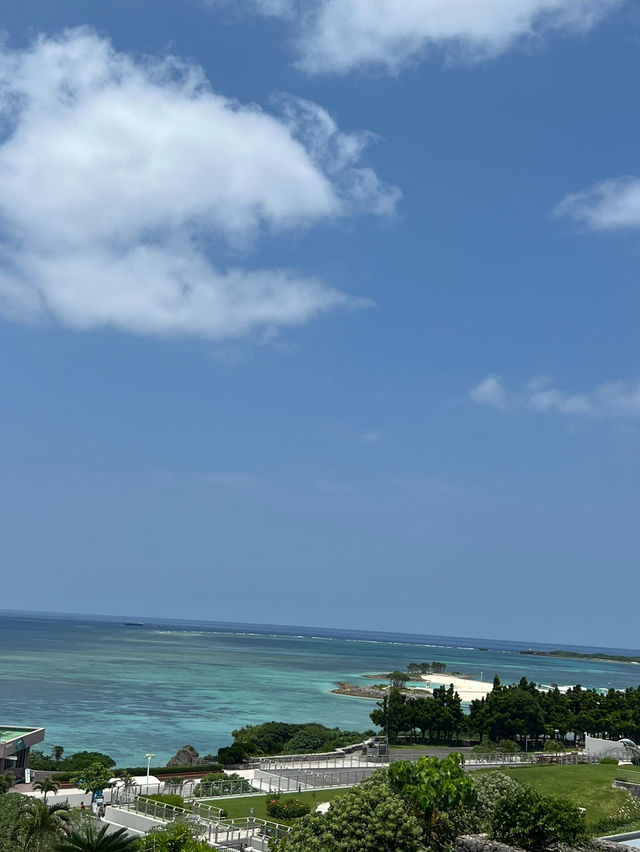오키나와여행 필수코스📍추라우미 수족관(+인생샷은 덤!)