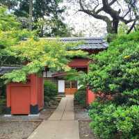 GotoKuji Temple
