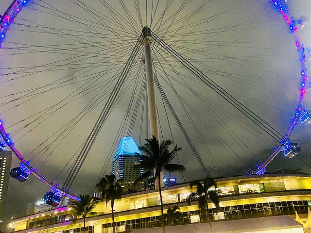 Beautiful Stylo Night Cycling Trail in Singapore 🇸🇬 