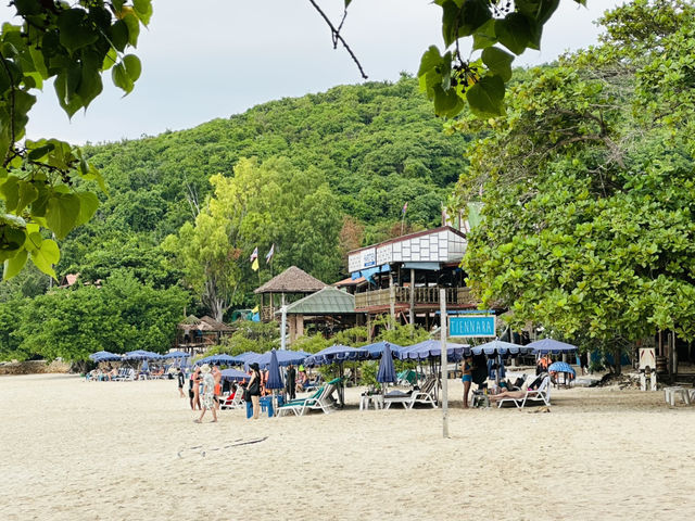 ชวนไปถ่ายรูปกับฝูงน้องห่านที่หาดเทียน