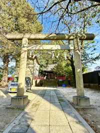 【埼玉県】室町時代から見守り続ける神社