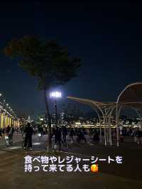 【韓国 ソウル】七色に光るレインボー噴水の橋🌈