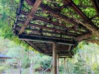 仙台輪王寺