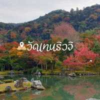 วัดเทนริวจิ จุดชมใบไม้เปลี่ยนสีที่ยอดเยี่ยม