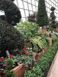 Guinness World Record for World’s Largest Glass Greenhouse 🇸🇬